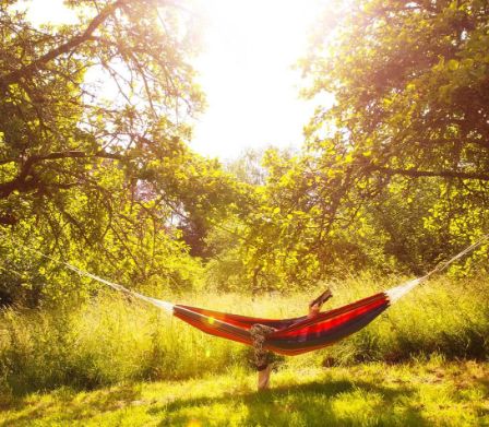 Person sitzt in Hängematte und liest ein Buch